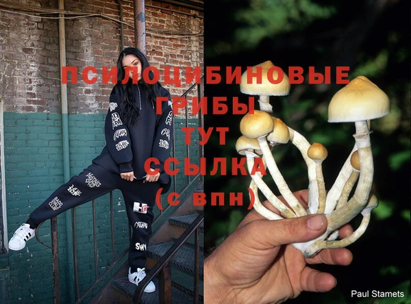 прущие крисы Магадан