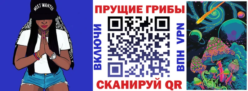 сколько стоит  Мурино  darknet официальный сайт  Псилоцибиновые грибы Magic Shrooms 