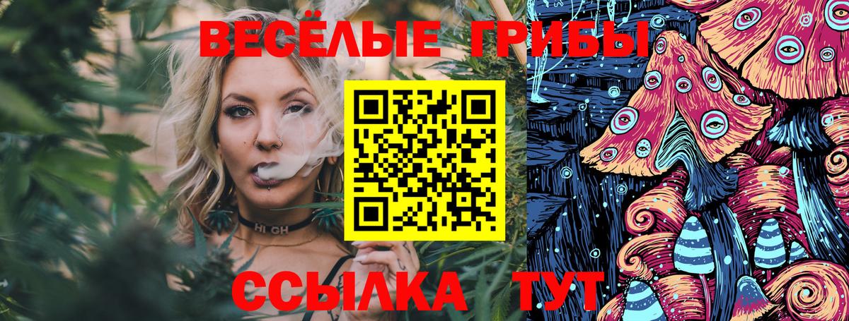 Псилоцибиновые грибы MAGIC MUSHROOMS Мурино