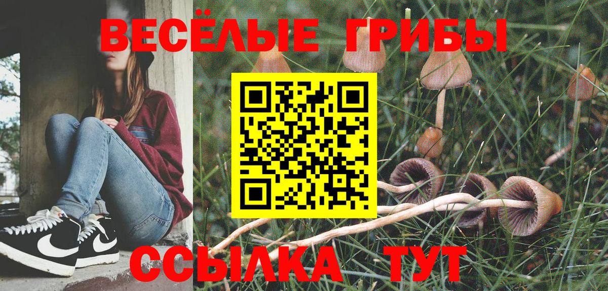 Галлюциногенные грибы Magic Shrooms  наркошоп  Мурино 
