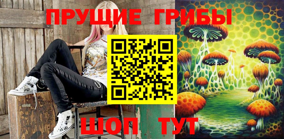 Мурино  Псилоцибиновые грибы Psilocybe  Вход с VPN 